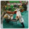 Scooters Motorroller 16-Monats 2026