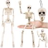 Závesná halloweenská dekorácia – realistická kostra 40 cm RUHHY Závesná halloweenská dekorácia – realistická kostra 40 cm RUHHY