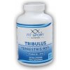 FitSport Nutrition Tribulus Terrestris 90% + Vitamín B6 + Zinok 240 kapsúl FitSport Nutrition Tribulus Terrestris 90% + Vitamín B6 + Zinok 240 kapsúl