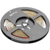 GTV Flash páska 2835MW, 300 LED studená bílá, 3,8W/m, bezgelová 8mm, role GTV Flash páska 2835MW, 300 LED studená bílá, 3,8W/m, bezgelová 8mm, role