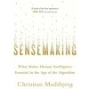Sensemaking (Christian Madsbjerg)(Brožovaná) Sensemaking (Christian Madsbjerg)(Brožovaná)