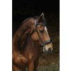 NORTON PRO - Hackamore NORTON PRO - Hackamore