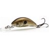 Salmo Hornet Floating Pearl Shad 3,5cm
