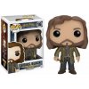 Funko POP! Harry Potter Movies Sirius Black 16 (20207) Funko POP! Harry Potter Movies Sirius Black 16 (20207)