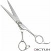 Dictum 708164 - Japanese HairCutting Scissors Powerful 5.5 Dictum 708164 - Japanese HairCutting Scissors Powerful 5.5