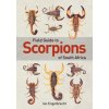 Field Guide to Scorpions of South Africa Field Guide to Scorpions of South Africa