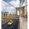 Dimex fototapeta MS-3-0004 Mesto New York 225 x 250 cm Dimex fototapeta MS-3-0004 Mesto New York 225 x 250 cm