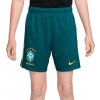 Nike | Dri-FIT Brazil Academy Pro Kids | zelená| XL(158-170cm) Nike | Dri-FIT Brazil Academy Pro Kids | zelená| XL(158-170cm)