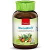 JENTSCHURA WurzelKraft omnimolekulární BIO potravina 600 g JENTSCHURA WurzelKraft omnimolekulární BIO potravina 600 g