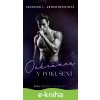 E-kniha Ochránce v pokušení - Jennifer L. Armentrout E-kniha Ochránce v pokušení - Jennifer L. Armentrout