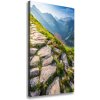 Vertikálny foto obraz canvas Horský chodník 50x100 cm Vertikálny foto obraz canvas Horský chodník 50x100 cm