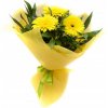 Kytička žltých gerbier Isabell Kytička žltých gerbier Isabell