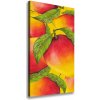 Vertikálny foto obraz tlačený na plátne Mango 50x100 cm Vertikálny foto obraz tlačený na plátne Mango 50x100 cm