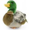 Rappa Plyšová kačica divá 20 cm ECO-FRIENDLY Rappa Plyšová kačica divá 20 cm ECO-FRIENDLY