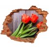 Samolepiaca diera nálepka Červené tulipány 90x70 cm Samolepiaca diera nálepka Červené tulipány 90x70 cm