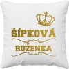Šípková Ruženka - vankúš s potlačou - Tričkový Šípková Ruženka - vankúš s potlačou - Tričkový