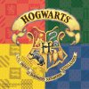 Procos Servitky Harry Potter Magic 33cm 20ks