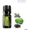 doTerra Esenciálny olej Forgive 5 ml