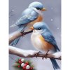 Diamantový obraz Dva vtáky Diamantový obraz Dva vtáky