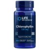Life Extension Chlorophyllin, podpora zdravé DNA, 100 rostlinných kapslí Výživový doplnok Life Extension Chlorophyllin, podpora zdravé DNA, 100 rostlinných kapslí Výživový doplnok