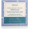 Praxis Laboratorios Hyaluronic Praxis Ampoules 6 x 2 ml Praxis Laboratorios Hyaluronic Praxis Ampoules 6 x 2 ml