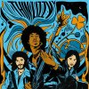 Thin Lizzy - The Acoustic Sessions LP Thin Lizzy - The Acoustic Sessions LP