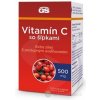 GS Vitamín C 500 so šípkami 120 kapsúl GS Vitamín C 500 so šípkami 120 kapsúl