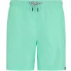 Pánske kraťasy Regatta Mackleyna Swim Short Veľkosť: L / Farba: svetlozelená Pánske kraťasy Regatta Mackleyna Swim Short Veľkosť: L / Farba: svetlozelená