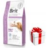 BRIT GF Veterinary Diets Dog Ultra-Hypoallergenic Insect 12kg + prekvapenie pre psa ZDARMA! BRIT GF Veterinary Diets Dog Ultra-Hypoallergenic Insect 12kg + prekvapenie pre psa ZDARMA!