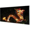 Nástenný panel Japonský drak osvetlené 100x50 cm Nástenný panel Japonský drak osvetlené 100x50 cm