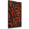 Vertikálny foto obraz na plátne Chilli papričky 50x100 cm Vertikálny foto obraz na plátne Chilli papričky 50x100 cm