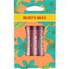 Burt's Bees Burt's Bees