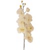 Umelá orchidea kusová 70cm krémová Umelá orchidea kusová 70cm krémová