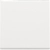 NIKO 154-31002 Kryt pre tlačidlový stmievač 2-100 W, white coated NIKO 154-31002 Kryt pre tlačidlový stmievač 2-100 W, white coated