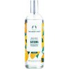 The Body Shop Satsuma Body Mist telový sprej pre ženy 100 ml The Body Shop Satsuma Body Mist telový sprej pre ženy 100 ml