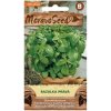 Semínka MoravoSeed Bazalka pravá zelená 71702
