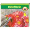 KOH-I-NOOR TOISON D´OR prašné pastely - 6 ks súprava KOH-I-NOOR TOISON D´OR prašné pastely - 6 ks súprava