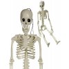 Verk Ľudská kostra skelet 40 cm halloween dekorácie Verk Ľudská kostra skelet 40 cm halloween dekorácie