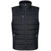 Regatta Pánska prešívaná vesta TRA892 Black M Regatta Pánska prešívaná vesta TRA892 Black M