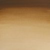 Winsor & Newton Akvarelové farby Cotman 21ml Raw Umber