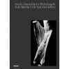 Aurelio Amendola for Michelangelo (Aurelio Amendola,Antonio Natali)(Brožovaná) Aurelio Amendola for Michelangelo (Aurelio Amendola,Antonio Natali)(Brožovaná)