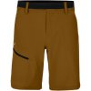 Pánske šortky Salewa Puez 3 DST M Shorts Golden Brown L Pánske šortky Salewa Puez 3 DST M Shorts Golden Brown L