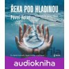 Řeka pod hladinou - Pavel Kolář Řeka pod hladinou - Pavel Kolář