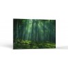 Príroda Lesné Lúče | Obrazy Vintessia Rozmery obdĺžnik: 80x120 Príroda Lesné Lúče | Obrazy Vintessia Rozmery obdĺžnik: 80x120