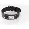 Whips Primal Bond Double Studded Collar Large Black, kožený obojok pre obvod 38–47 cm Whips Primal Bond Double Studded Collar Large Black, kožený obojok pre obvod 38–47 cm
