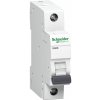 Schneider Electric K60N 1/C 20A