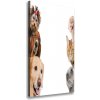 Vertikálny foto obraz na plátne do obývačky Psy a mačky 50x100 cm Vertikálny foto obraz na plátne do obývačky Psy a mačky 50x100 cm
