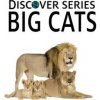Big Cats: Discover Series Picture Book for Children (Xist Publishing)(Brožovaná) Big Cats: Discover Series Picture Book for Children (Xist Publishing)(Brožovaná)