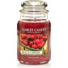 Yankee Candle Black Cherry 623 g Yankee Candle Black Cherry 623 g