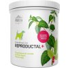 Pokusa BreedingLine Reproductal+ pre feny na chov a graviditu 350 g Pokusa BreedingLine Reproductal+ pre feny na chov a graviditu 350 g